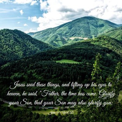 Picture 03 - John 17:1 WEB - Jesus said these things, and lifting up his eyes - Bible Verse Picture
