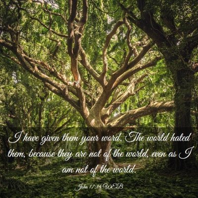 Picture 03 - John 17:14 WEB - I have given them your word. The world hated - Bible Verse Picture