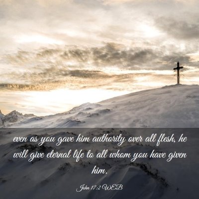 Picture 03 - John 17:2 WEB - even as you gave him authority over all flesh, he - Bible Verse Picture