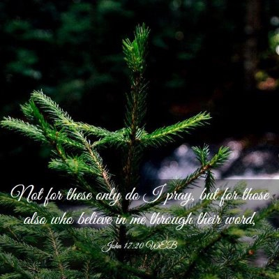 Picture 03 - John 17:20 WEB - Not for these only do I pray, but for those also - Bible Verse Picture
