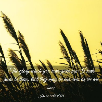 Picture 03 - John 17:22 WEB - The glory which you have given me, I have given - Bible Verse Picture