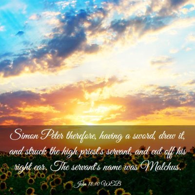 Picture 03 - John 18:10 WEB - Simon Peter therefore, having a sword, drew it, - Bible Verse Picture