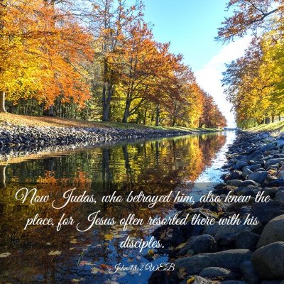Picture 03 - John 18:2 WEB - Now Judas, who betrayed him, also knew the place, - Bible Verse Picture