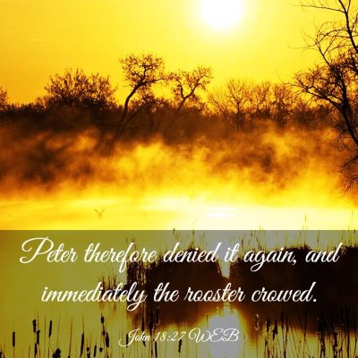 Picture 03 - John 18:27 WEB - Peter therefore denied it again, and immediately - Bible Verse Picture