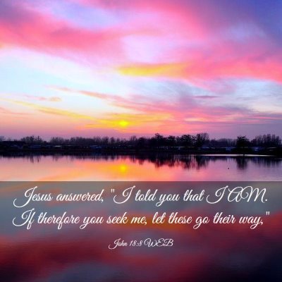 Picture 03 - John 18:8 WEB - Jesus answered, 