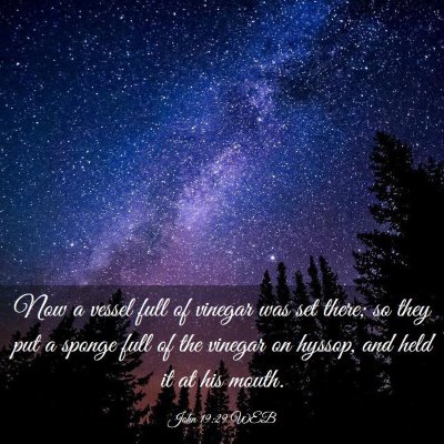 Picture 03 - John 19:29 WEB - Now a vessel full of vinegar was set there; so - Bible Verse Picture