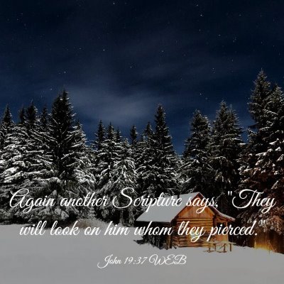 Picture 03 - John 19:37 WEB - Again another Scripture says, 