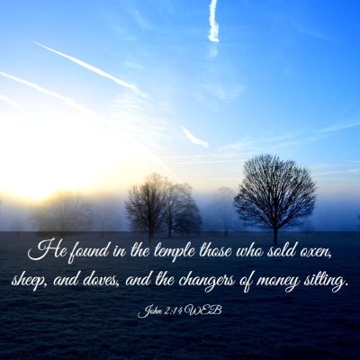 Picture 03 - John 2:14 WEB - He found in the temple those who sold oxen, - Bible Verse Picture