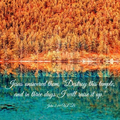 Picture 03 - John 2:19 WEB - Jesus answered them, 
