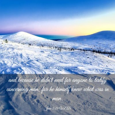 Picture 03 - John 2:25 WEB - and because he didn't need for anyone to testify - Bible Verse Picture