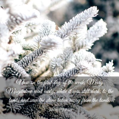Picture 03 - John 20:1 WEB - Now on the first day of the week, Mary Magdalene - Bible Verse Picture