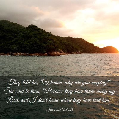 Picture 03 - John 20:13 WEB - They told her, 