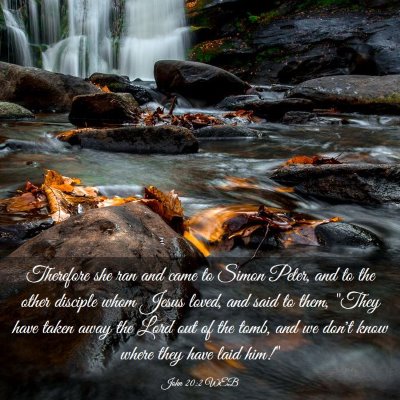 Picture 03 - John 20:2 WEB - Therefore she ran and came to Simon Peter, and to - Bible Verse Picture