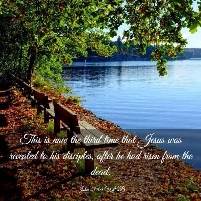 Picture 03 - John 21:14 WEB - This is now the third time that Jesus was - Bible Verse Picture