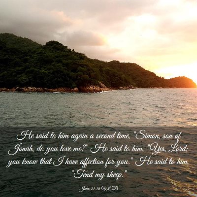 Picture 03 - John 21:16 WEB - He said to him again a second time, 