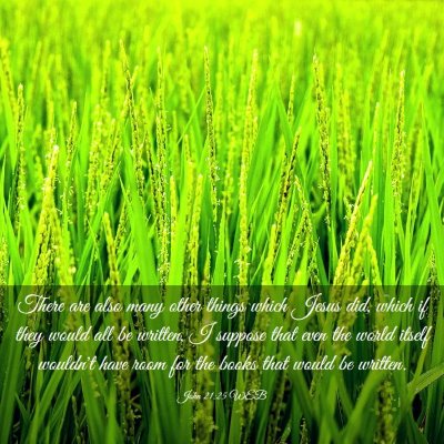Picture 03 - John 21:25 WEB - There are also many other things which Jesus did, - Bible Verse Picture