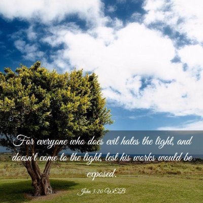 Picture 03 - John 3:20 WEB - For everyone who does evil hates the light, and - Bible Verse Picture