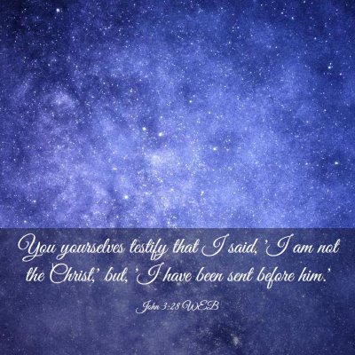 Picture 03 - John 3:28 WEB - You yourselves testify that I said, 'I am not the - Bible Verse Picture