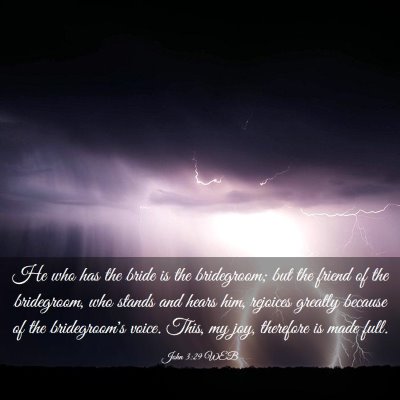 Picture 03 - John 3:29 WEB - He who has the bride is the bridegroom; but the - Bible Verse Picture