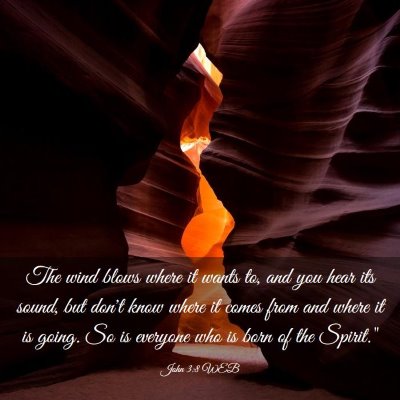 Picture 03 - John 3:8 WEB - The wind blows where it wants to, and you hear - Bible Verse Picture