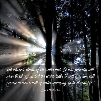 Picture 03 - John 4:14 WEB - but whoever drinks of the water that I will give - Bible Verse Picture