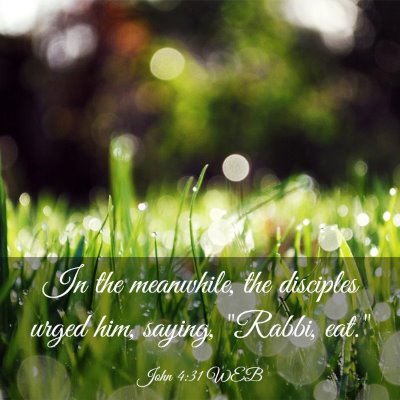 Picture 03 - John 4:31 WEB - In the meanwhile, the disciples urged him, - Bible Verse Picture