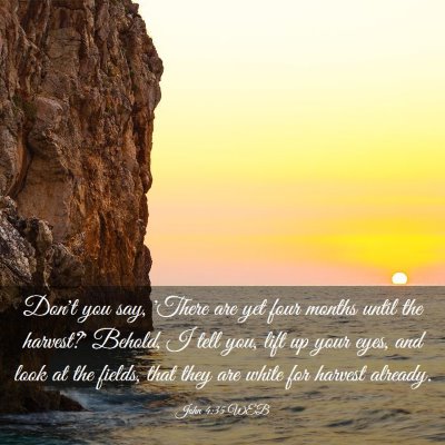 Picture 03 - John 4:35 WEB - Don't you say, 'There are yet four months until - Bible Verse Picture