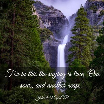Picture 03 - John 4:37 WEB - For in this the saying is true, 'One sows, and - Bible Verse Picture