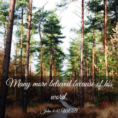 Picture 03 - John 4:41 WEB - Many more believed because of his - Bible Verse Picture