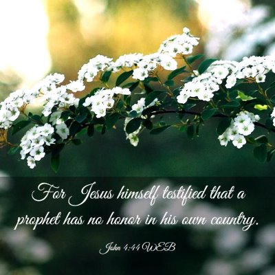 Picture 03 - John 4:44 WEB - For Jesus himself testified that a prophet has no - Bible Verse Picture
