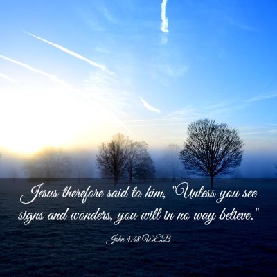 Picture 03 - John 4:48 WEB - Jesus therefore said to him, 