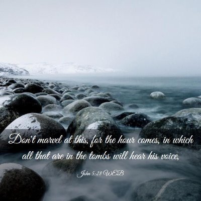 Picture 03 - John 5:28 WEB - Don't marvel at this, for the hour comes, in - Bible Verse Picture