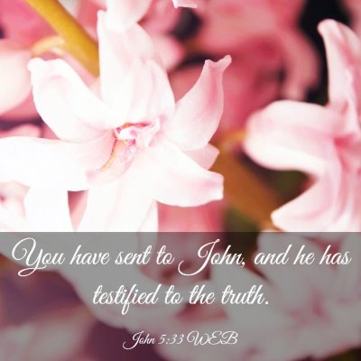 Picture 03 - John 5:33 WEB - You have sent to John, and he has testified to - Bible Verse Picture