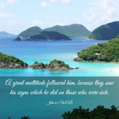 Picture 03 - John 6:2 WEB - A great multitude followed him, because they saw - Bible Verse Picture