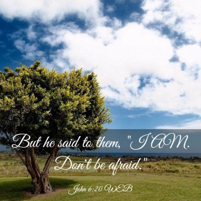 Picture 03 - John 6:20 WEB - But he said to them, 