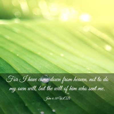 Picture 03 - John 6:38 WEB - For I have come down from heaven, not to do my - Bible Verse Picture