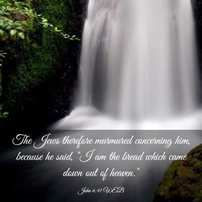 Picture 03 - John 6:41 WEB - The Jews therefore murmured concerning him, - Bible Verse Picture