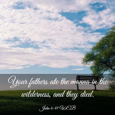 Picture 03 - John 6:49 WEB - Your fathers ate the manna in the wilderness, and - Bible Verse Picture