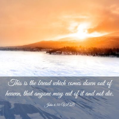 Picture 03 - John 6:50 WEB - This is the bread which comes down out of heaven, - Bible Verse Picture