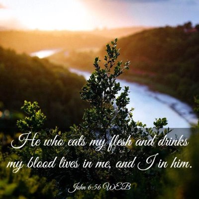 Picture 03 - John 6:56 WEB - He who eats my flesh and drinks my blood lives in - Bible Verse Picture