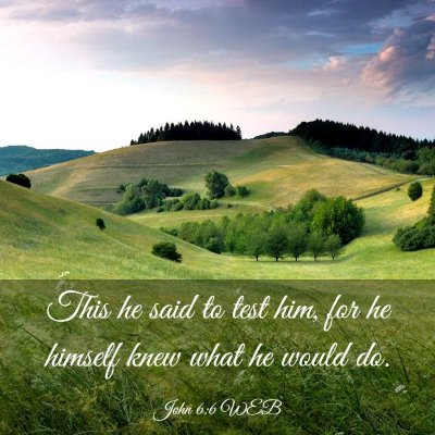 Picture 03 - John 6:6 WEB - This he said to test him, for he himself knew - Bible Verse Picture
