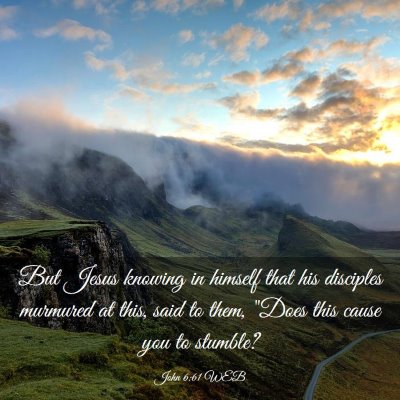 Picture 03 - John 6:61 WEB - But Jesus knowing in himself that his disciples - Bible Verse Picture