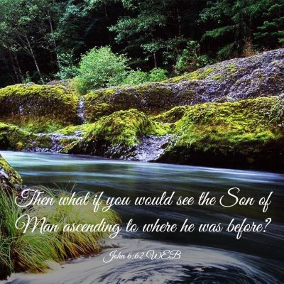 Picture 03 - John 6:62 WEB - Then what if you would see the Son of Man - Bible Verse Picture