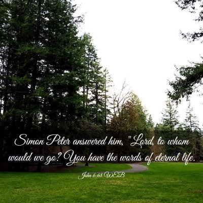 Picture 03 - John 6:68 WEB - Simon Peter answered him, 