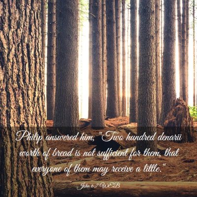 Picture 03 - John 6:7 WEB - Philip answered him, 