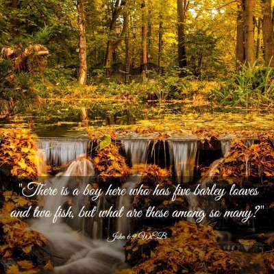 Picture 03 - John 6:9 WEB - 