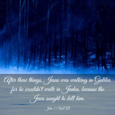 Picture 03 - John 7:1 WEB - After these things, Jesus was walking in Galilee, - Bible Verse Picture