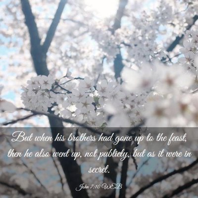 Picture 03 - John 7:10 WEB - But when his brothers had gone up to the feast, - Bible Verse Picture