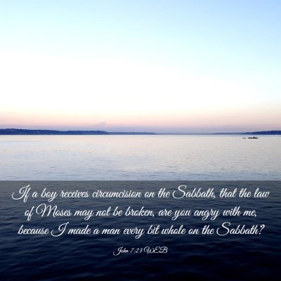 Picture 03 - John 7:23 WEB - If a boy receives circumcision on the Sabbath, - Bible Verse Picture