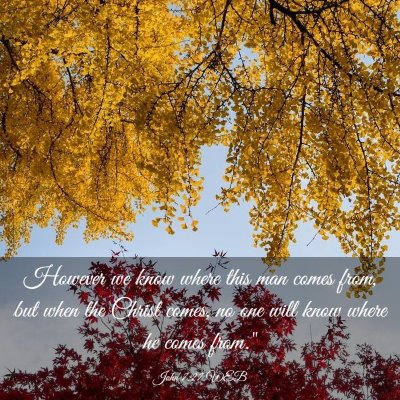 Picture 03 - John 7:27 WEB - However we know where this man comes from, but - Bible Verse Picture